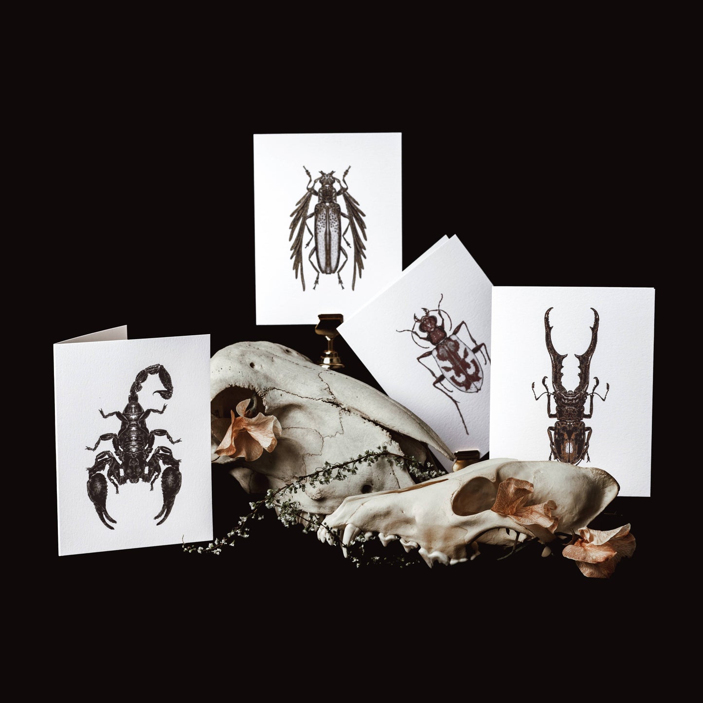 Emperor Scorpion Foil Greeting Card