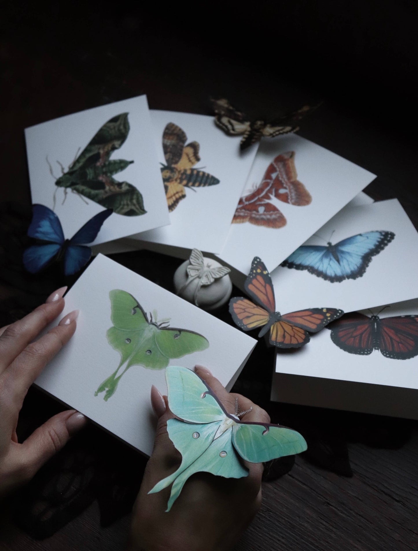 Death's-head Hawkmoth Greeting Card