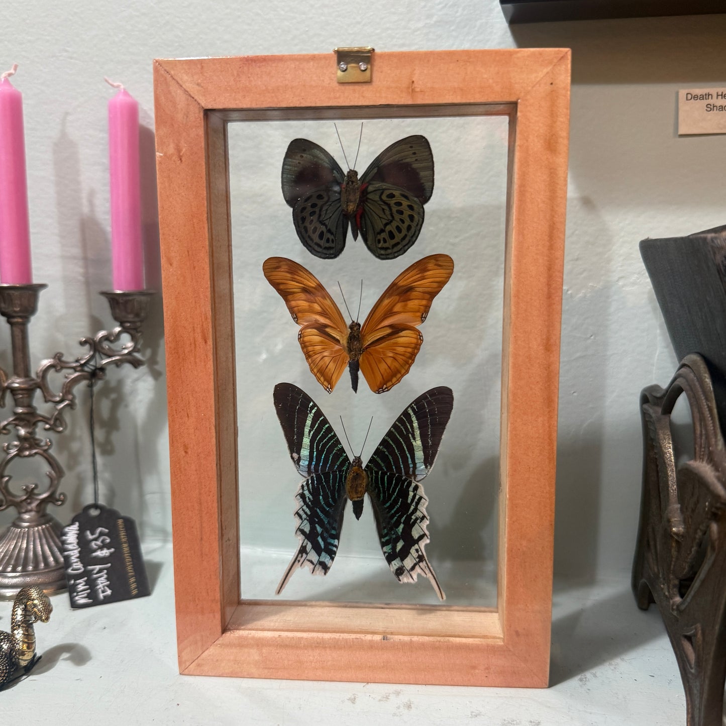 3 Butterfies In Double Glass Frame Natural