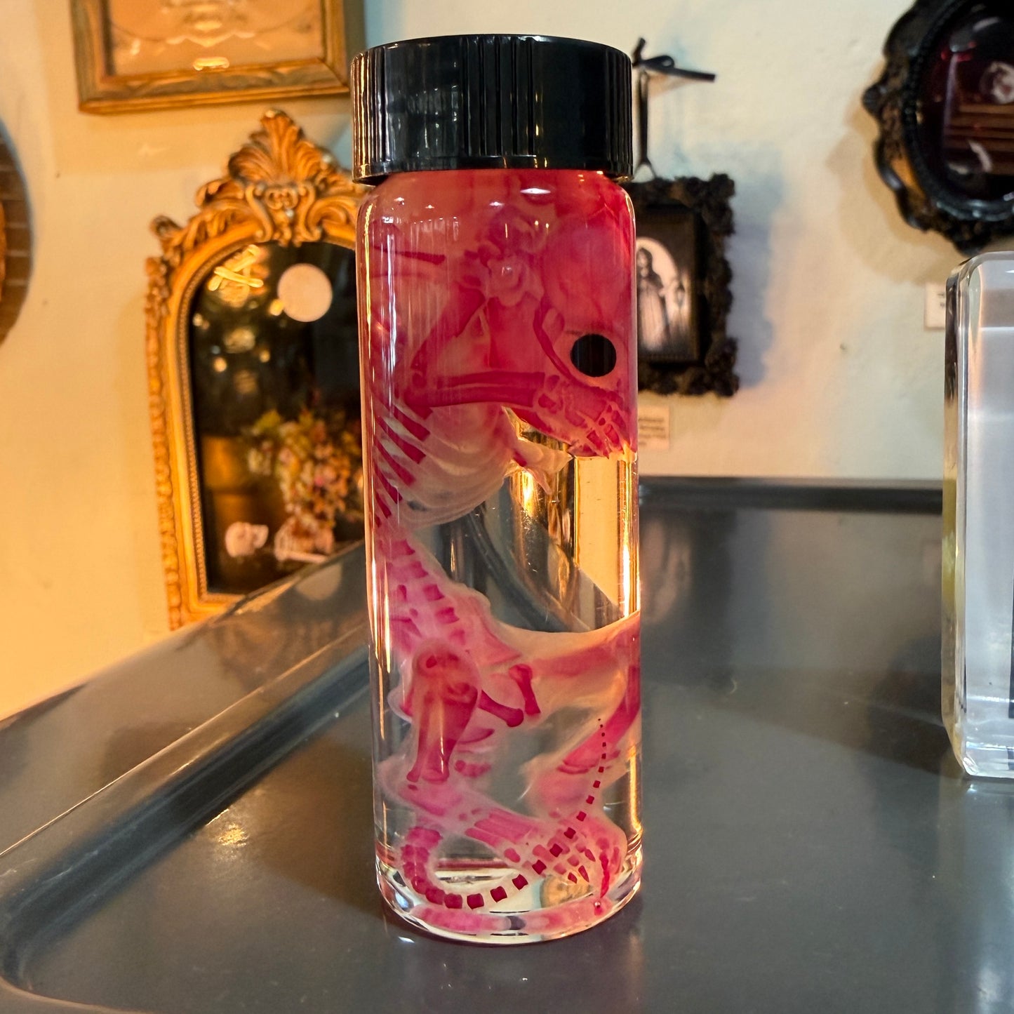 Diaphonized Rat Specimen