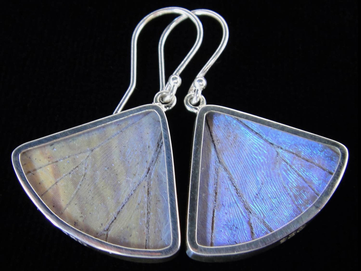 Shimmerwings "Pearl Blue" Butterfly Fan Earring