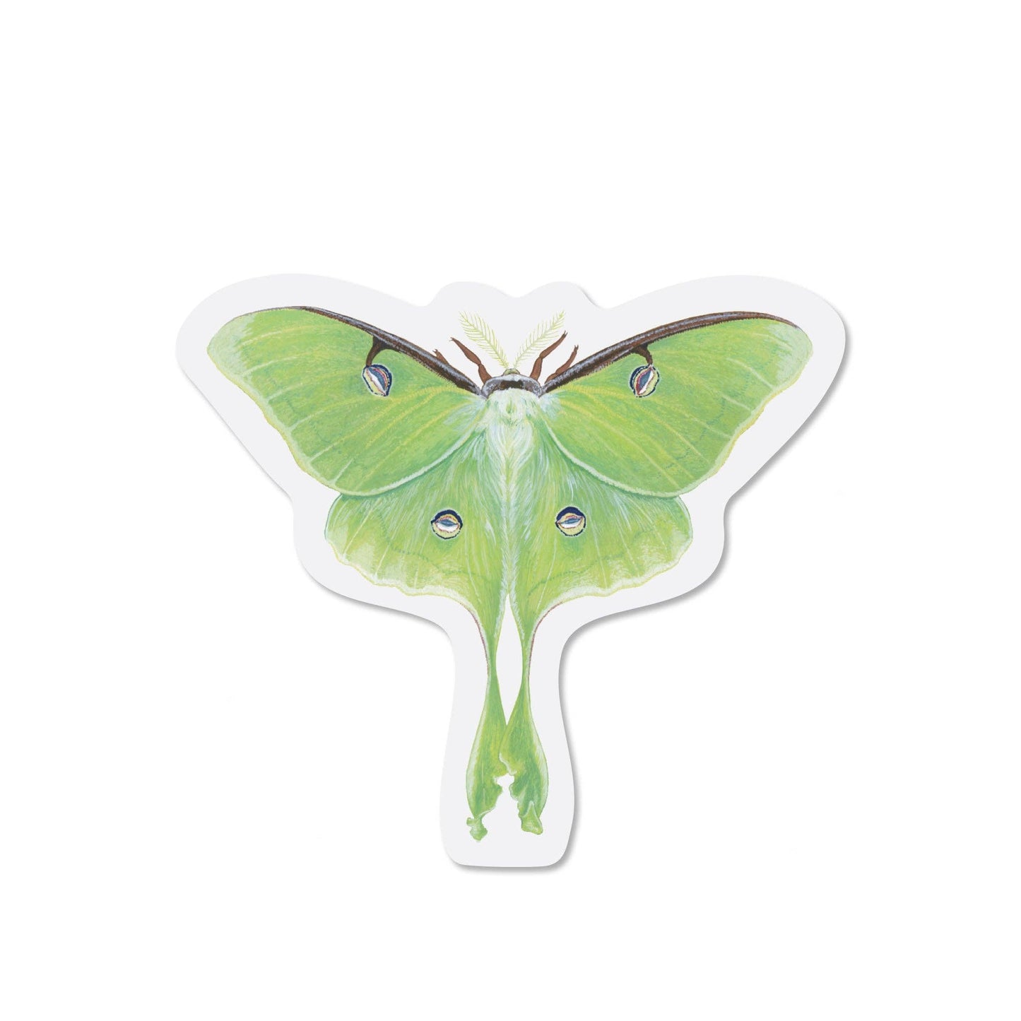 Luna Moth Sticker