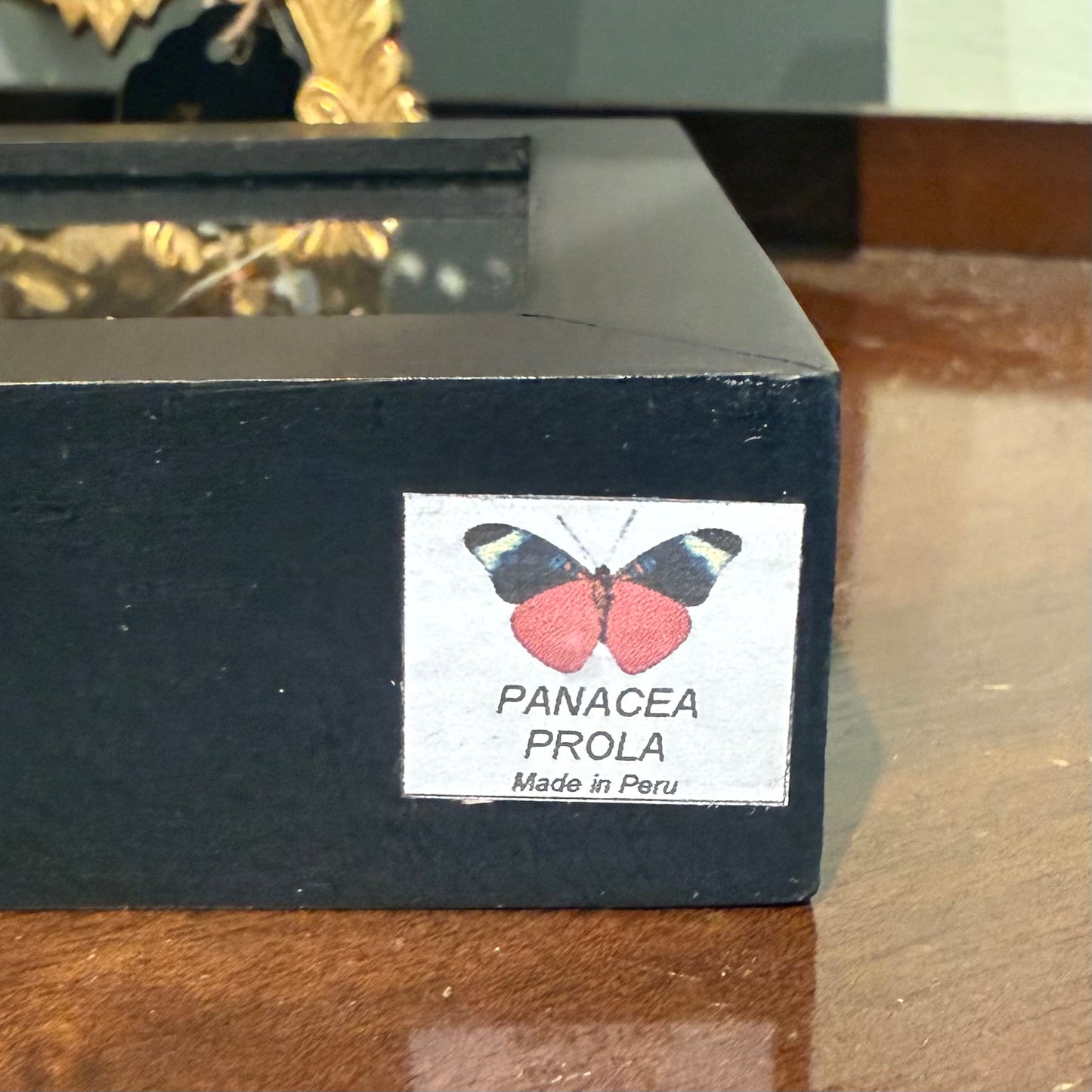 Framed Single Butterfly Panacea Prola