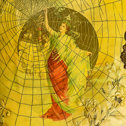 Victorian Rare Spiderweb Celluloid Photo Album