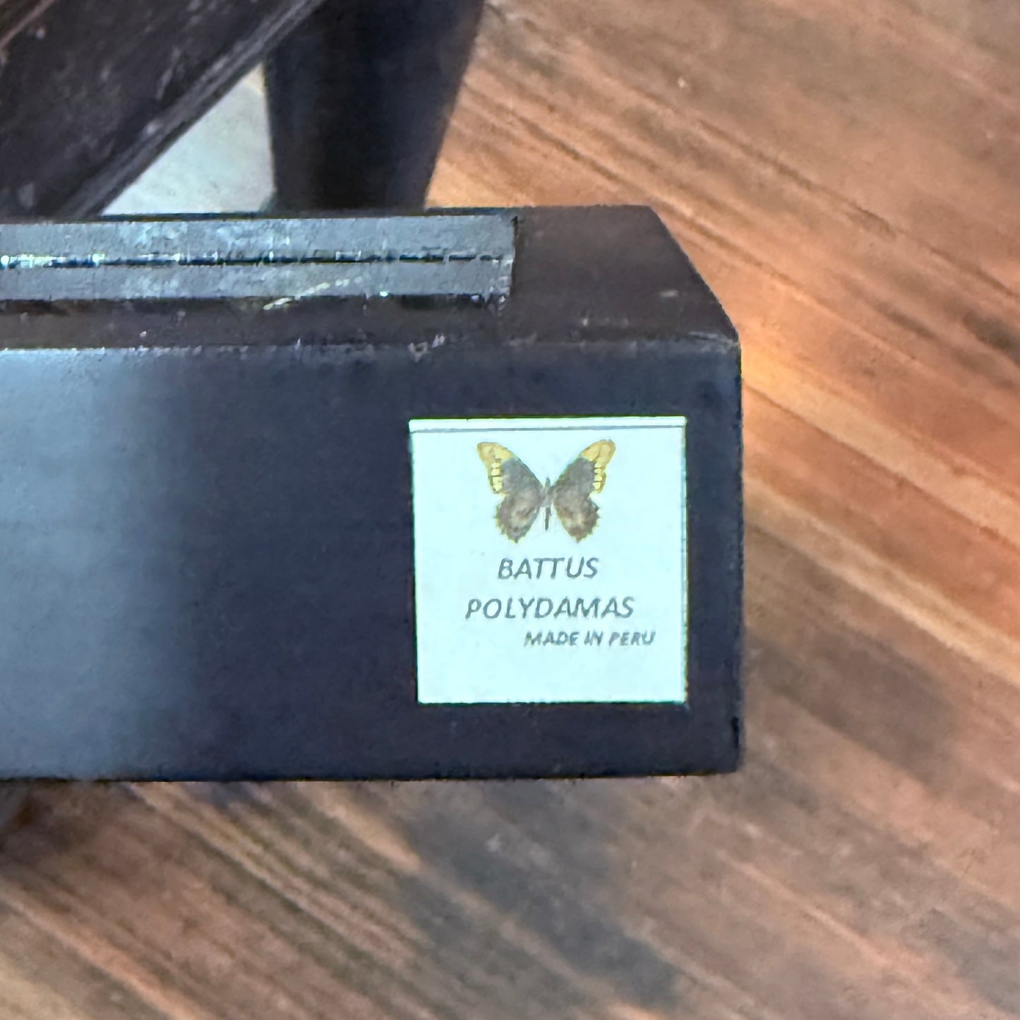 Framed Single Butterfly BATTUS
POLYDAMAS