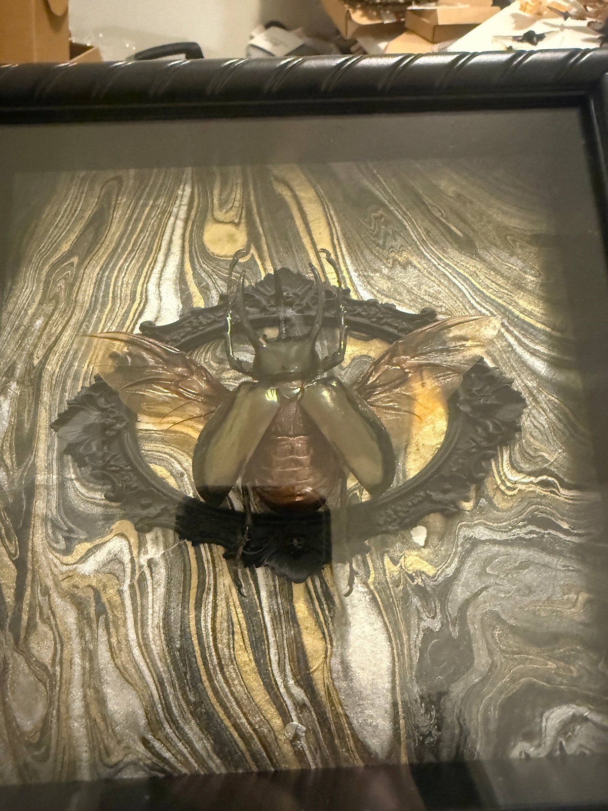 LTD Rhinoceros Beetle Wings Spread Shadowbox Art Gold, Silver Black Background