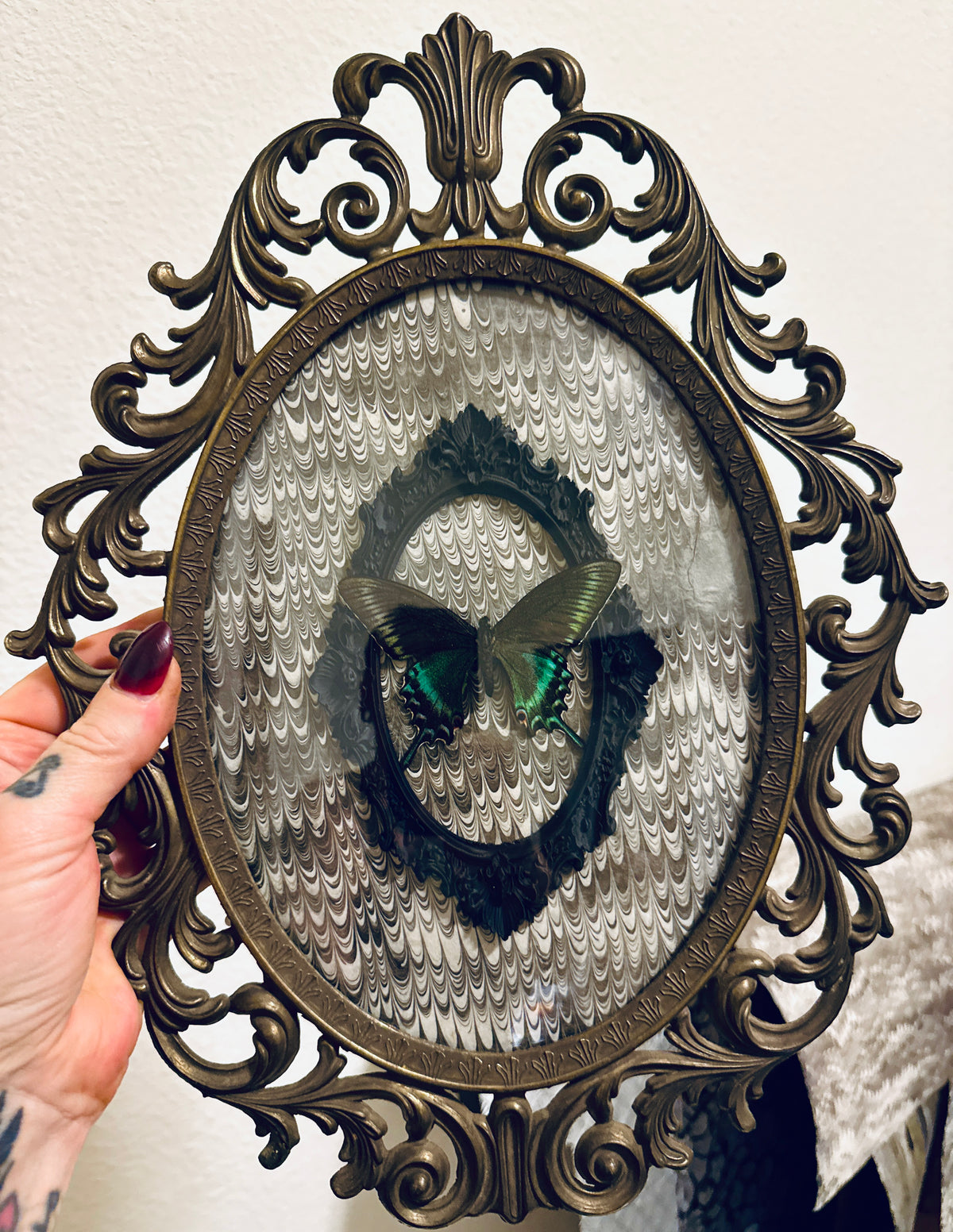 LTD Antique Brass Filigree Framed Black Alpine Swallowtail Butterfly on Gray Swirl Victorian Background