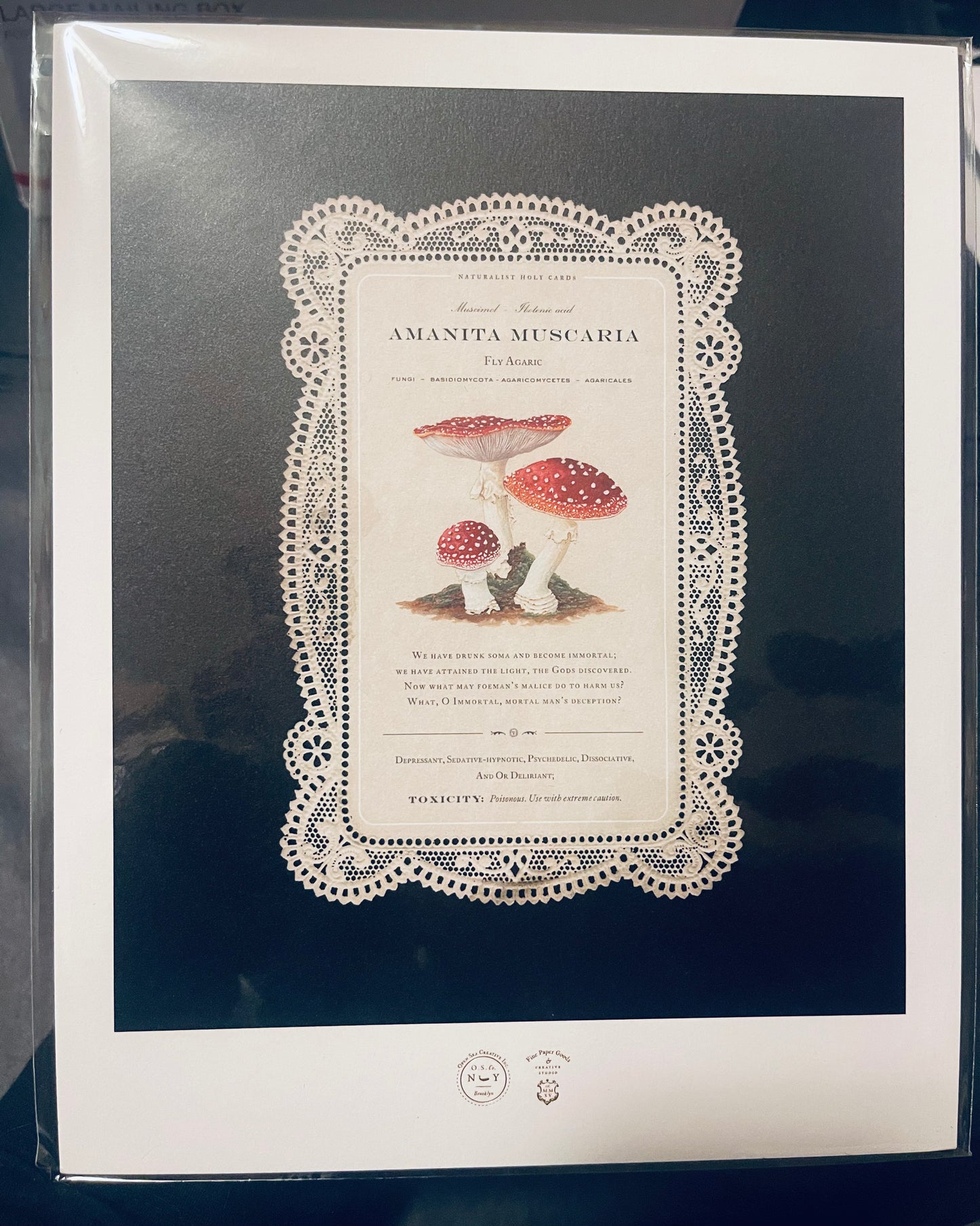 Amanita Holy Card Open Sea Design Co 8” x 10” Print