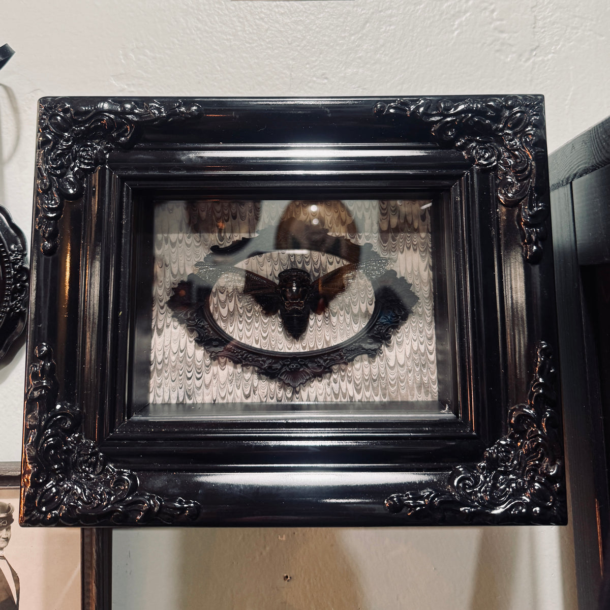 LTD Batwing Cicada Shadowbox Art Victorian Swirl Background