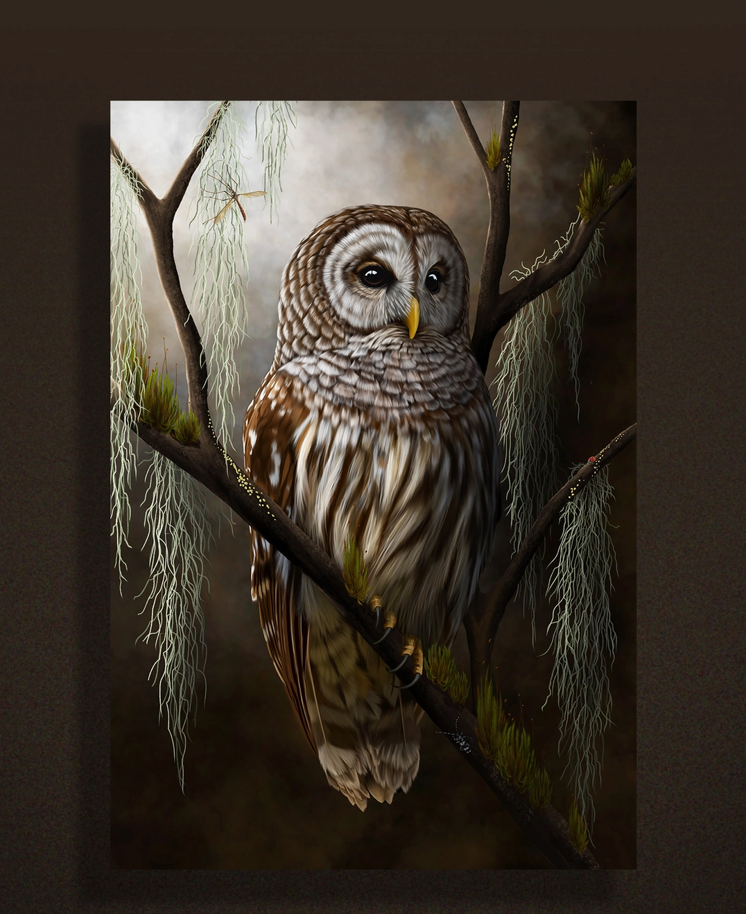 Bird Hag { Barred Owl & Moss } Fine Art Print Framed 9" x 13"