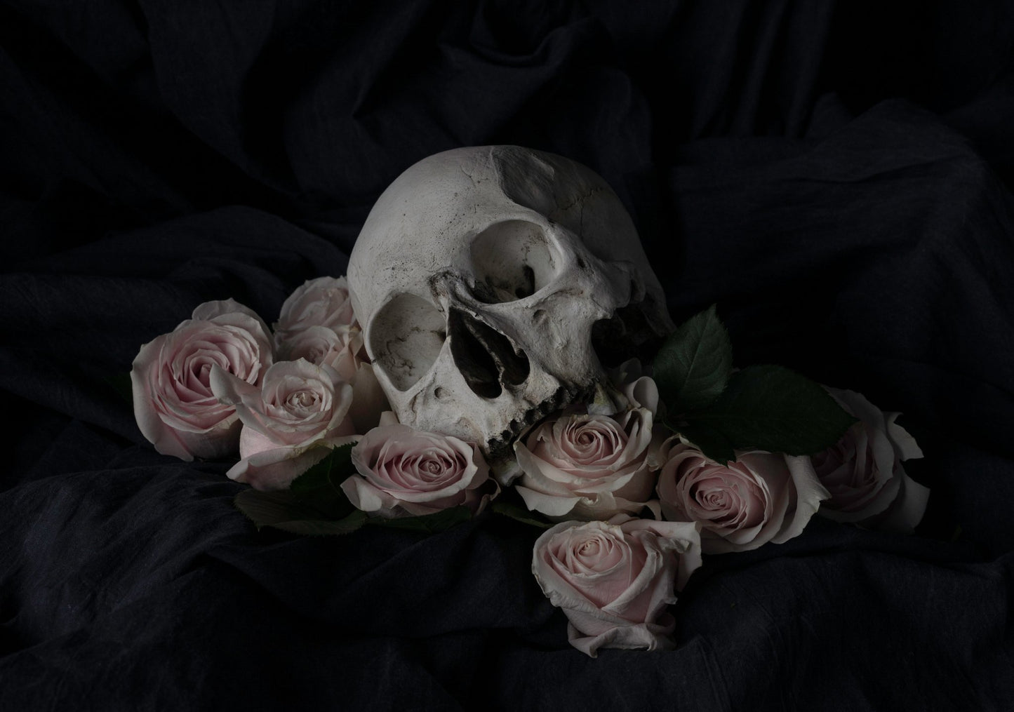 'ฤCฤOCIAN' Veneration of Light Limited Print - Loved To Death