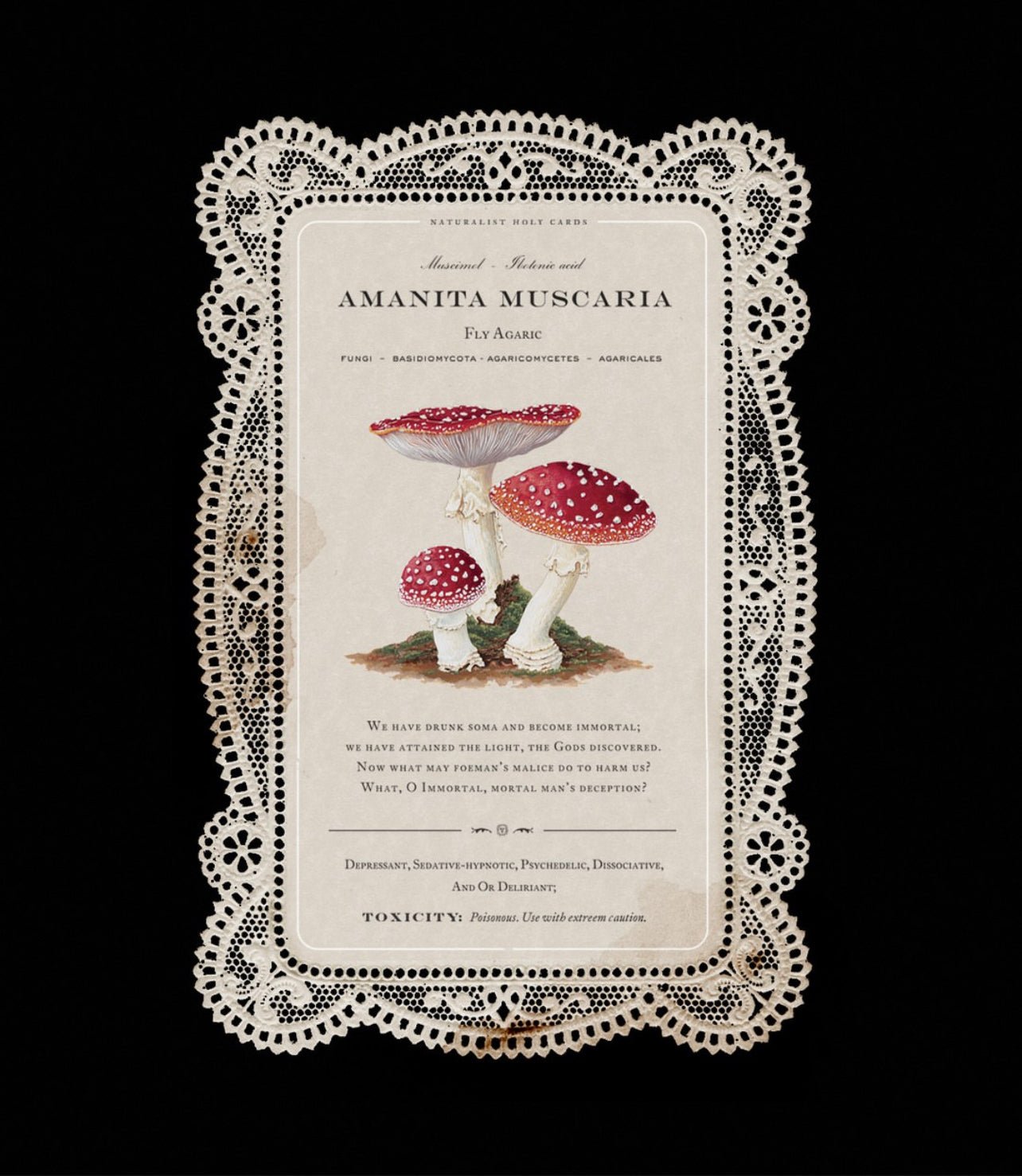 Amanita Holy Card Open Sea Design Co 8 x 10 Print Loved To Death Amanita Holy Card Open Sea Design Co 8 x 10 Print Loved To Death