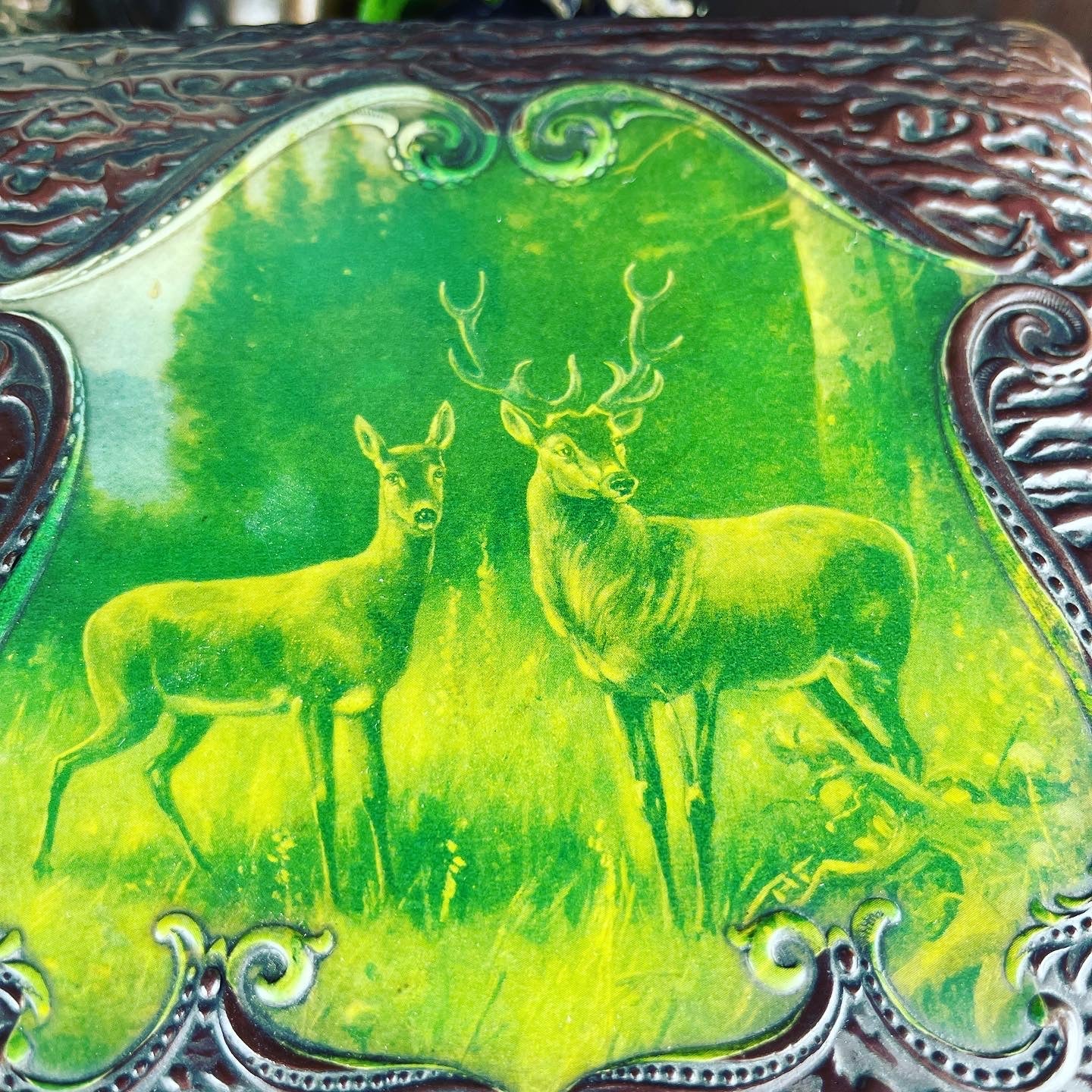 Antique Celluloid Woods & Deer Collar Dresser Box - Loved To Death