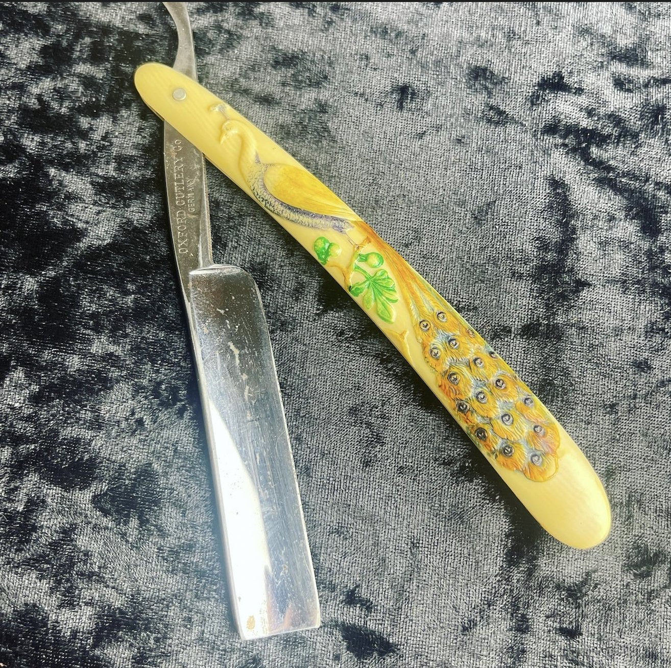 Antique Peacock Germany Celluloid Straight Razor - Loved To Death