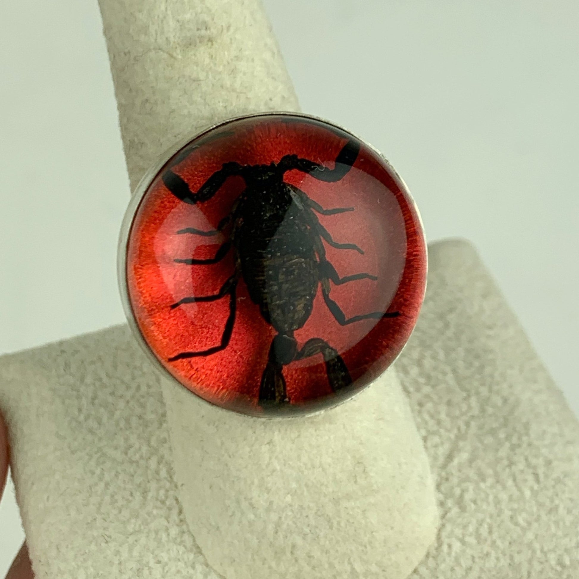 Black Scorpion in Red Globe Sterling Ring - Loved To Death