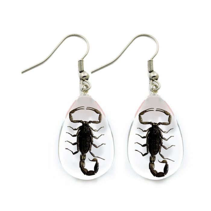 Black Scorpion Lucite Earrings - Loved To Death