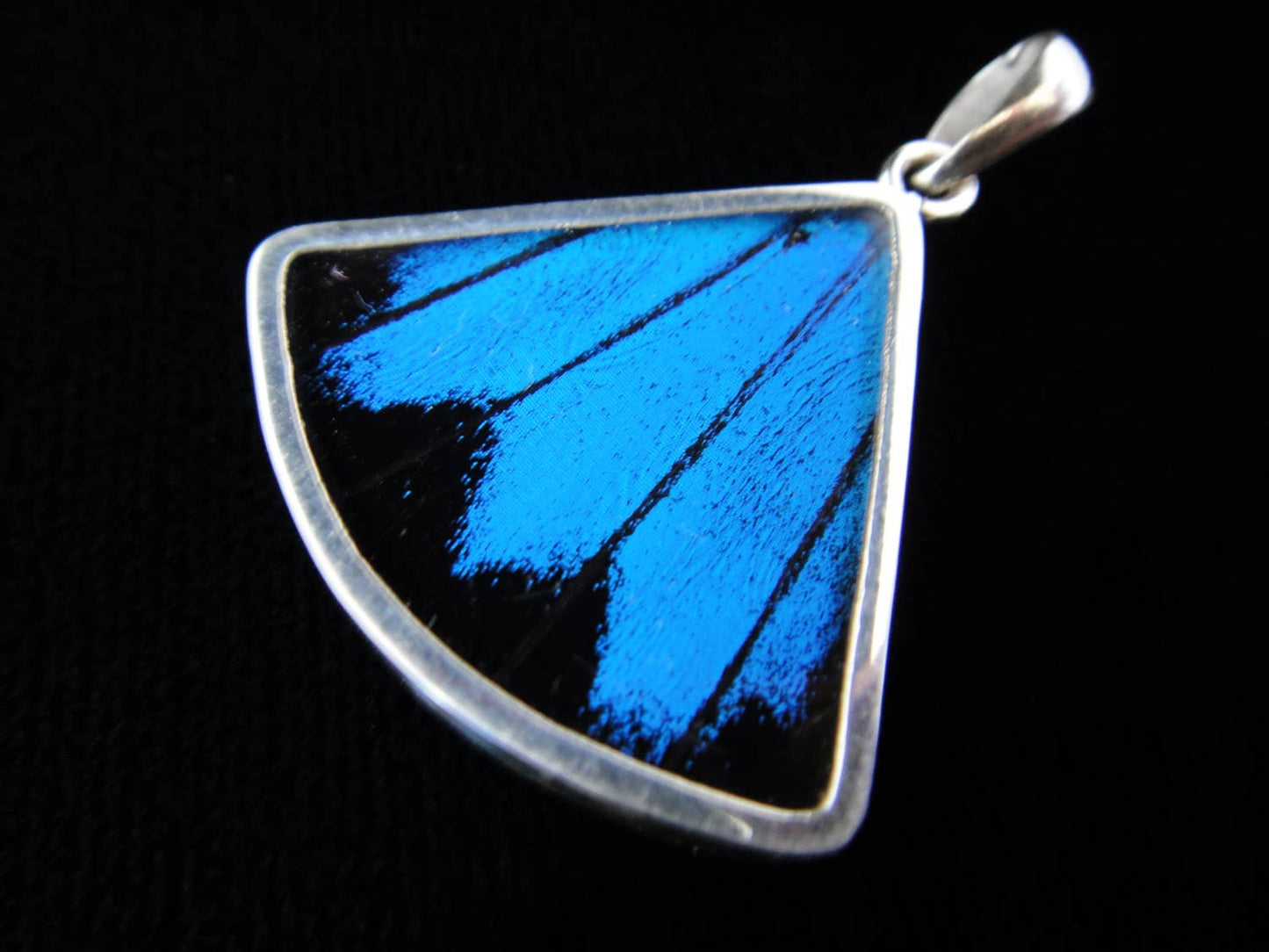 Blue & Black Butterfly Wing Fan Sterling Necklace - Loved To Death