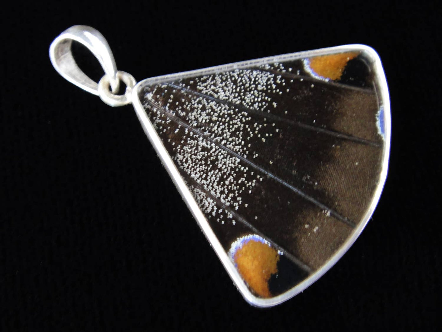 Blue & Black Butterfly Wing Fan Sterling Necklace - Loved To Death