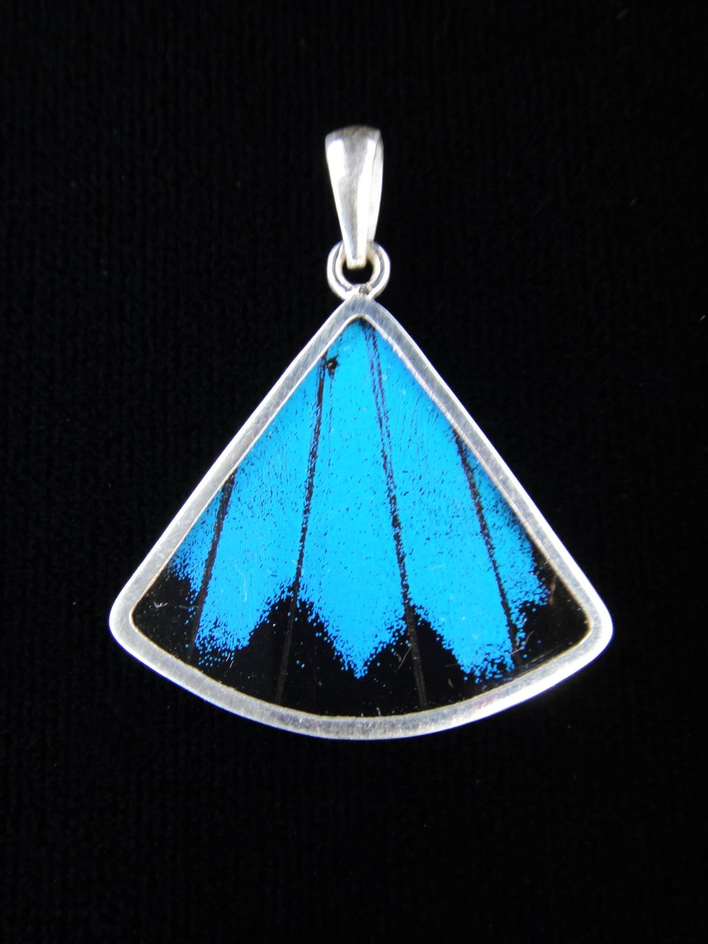 Blue & Black Butterfly Wing Fan Sterling Necklace - Loved To Death