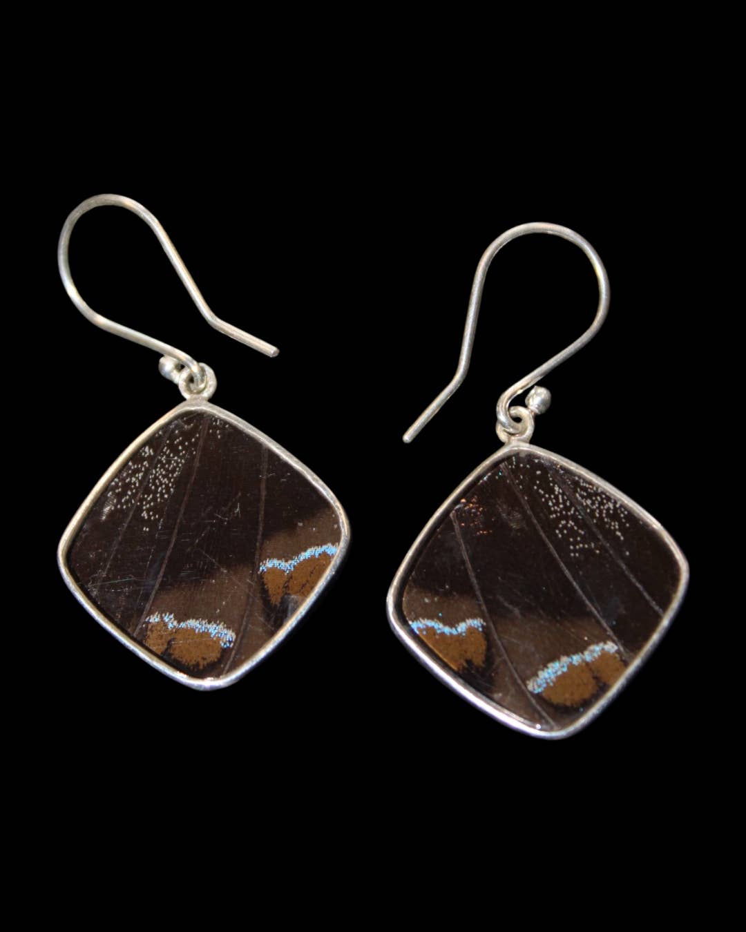 Blue & Black Butterfly Wing Sterling Diamond Earrings - Loved To Death