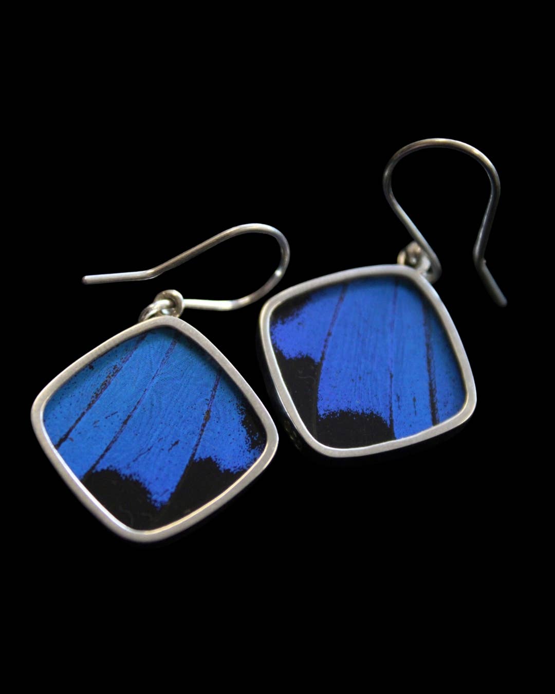 Blue & Black Butterfly Wing Sterling Diamond Earrings - Loved To Death