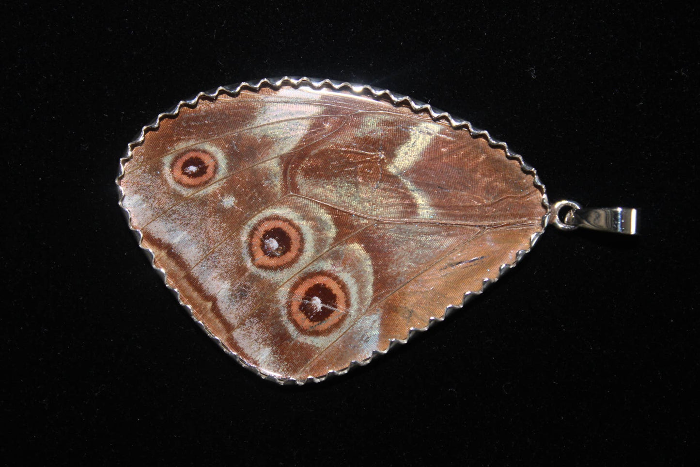 Blue Flash Butterfly Wing XX - Large Sterling Pendant - Loved To Death