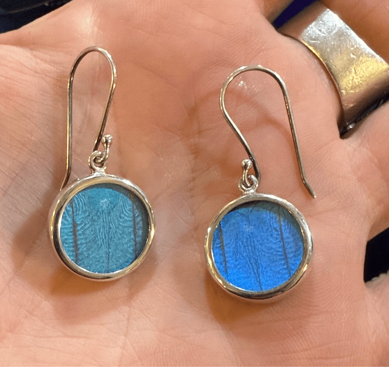 Blue Morpho Wing Round Sterling Earrings - Loved To Death
