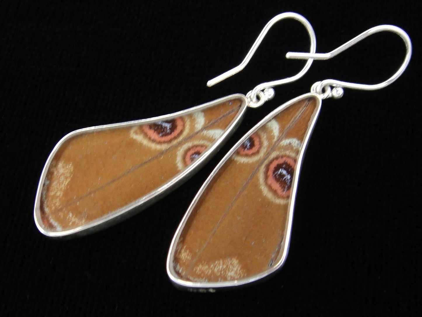 Blue Morpho Wing Sterling Butterfly Long Earrings - Loved To Death