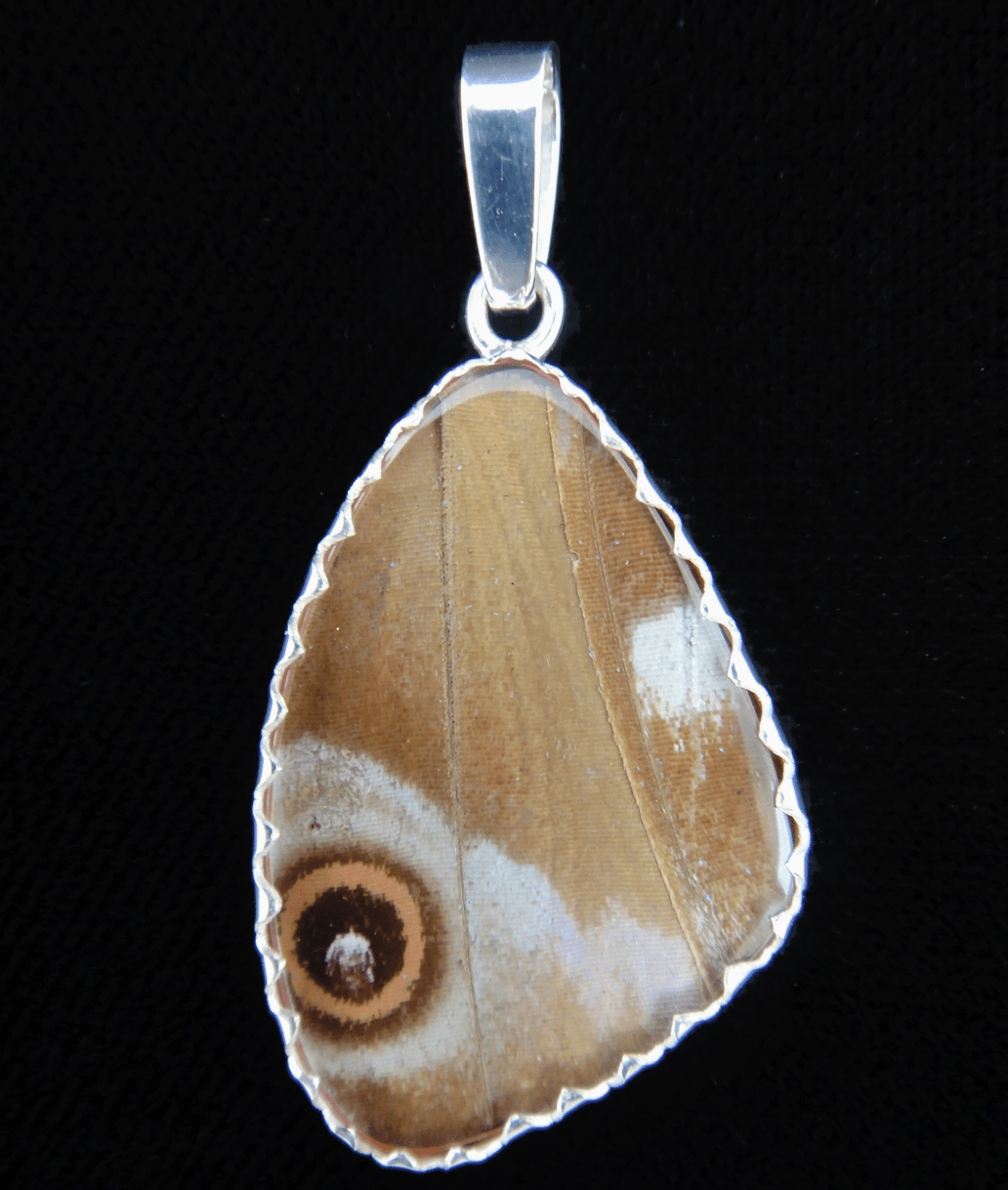 Blue Morpho Wing Sterling Necklace Medium - Loved To Death