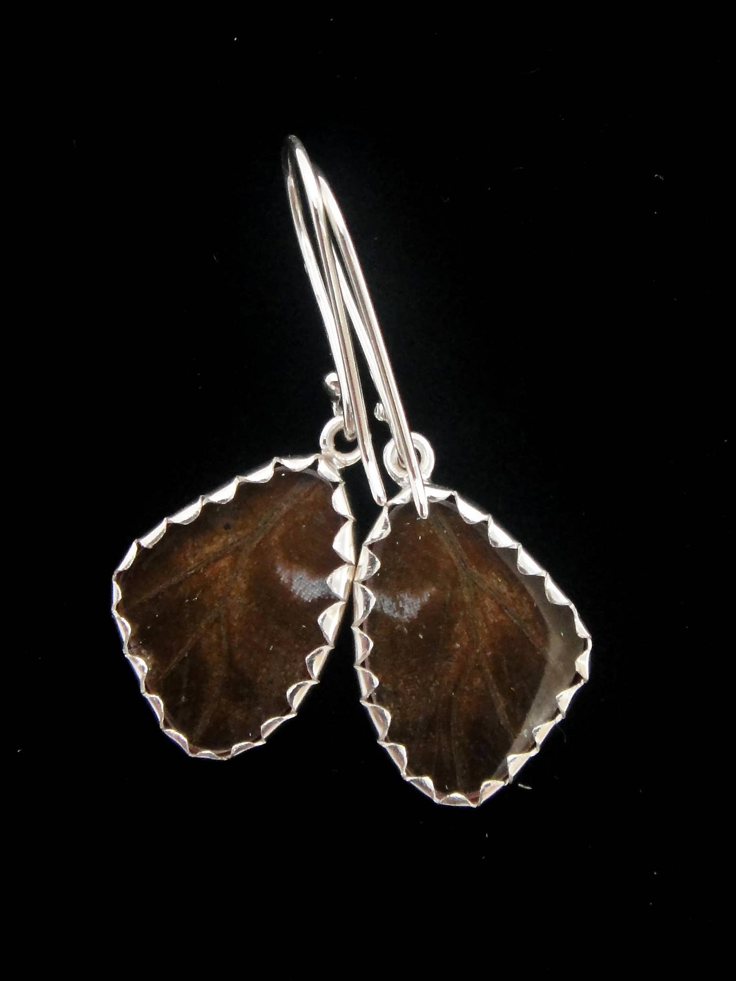 Blue Morpho Wing Sterling Small Earrings - Loved To Death