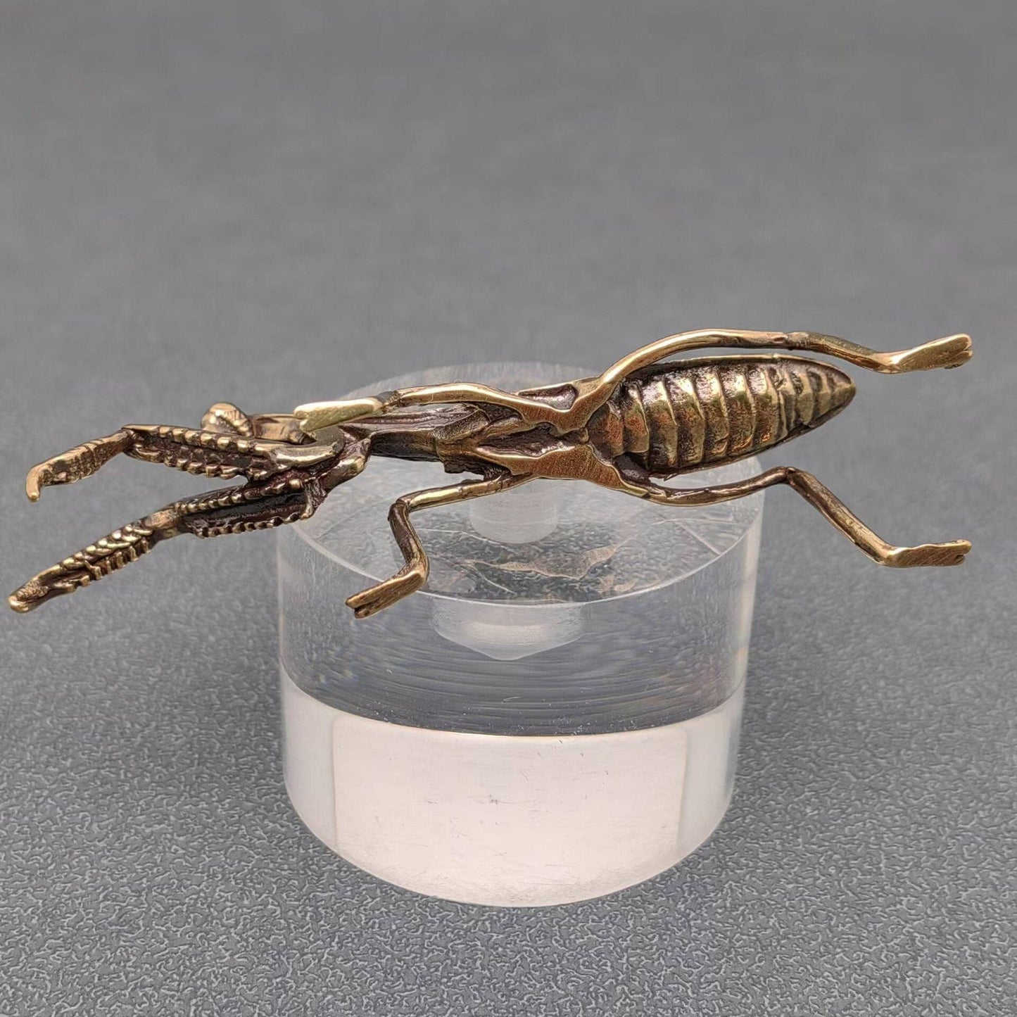 Brass Mantis Desktop Decoration - Loved To Death