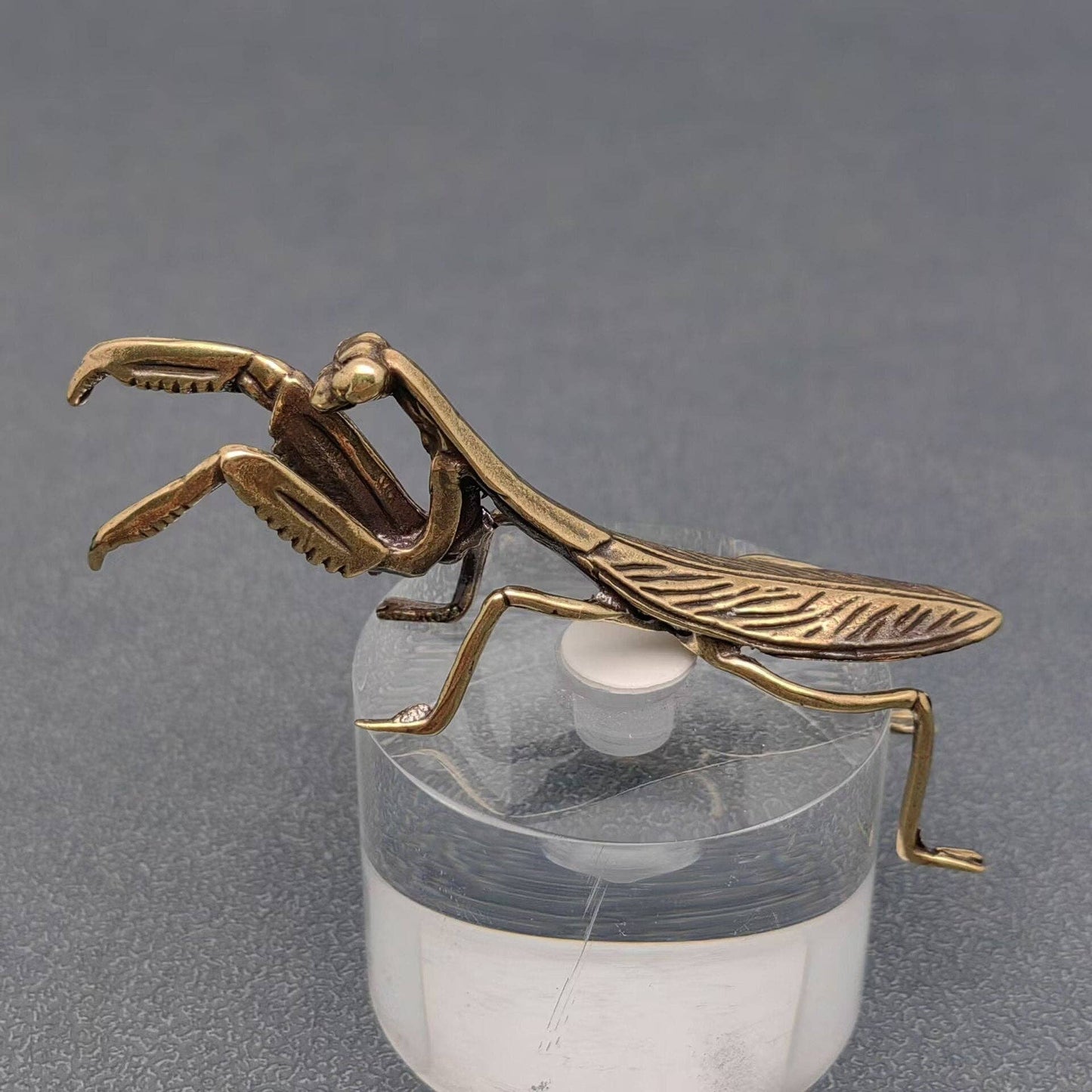 Brass Mantis Desktop Decoration - Loved To Death