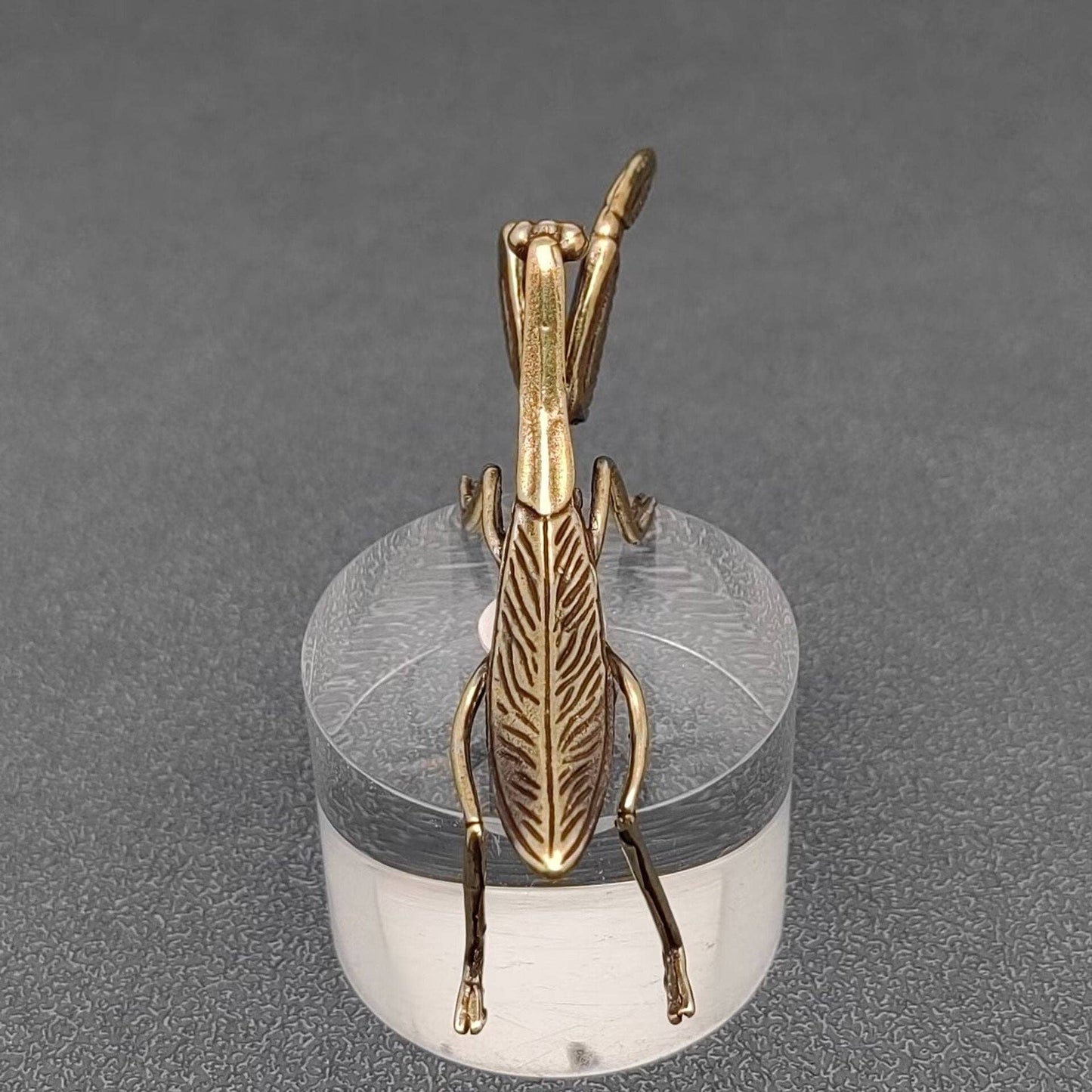 Brass Mantis Desktop Decoration - Loved To Death
