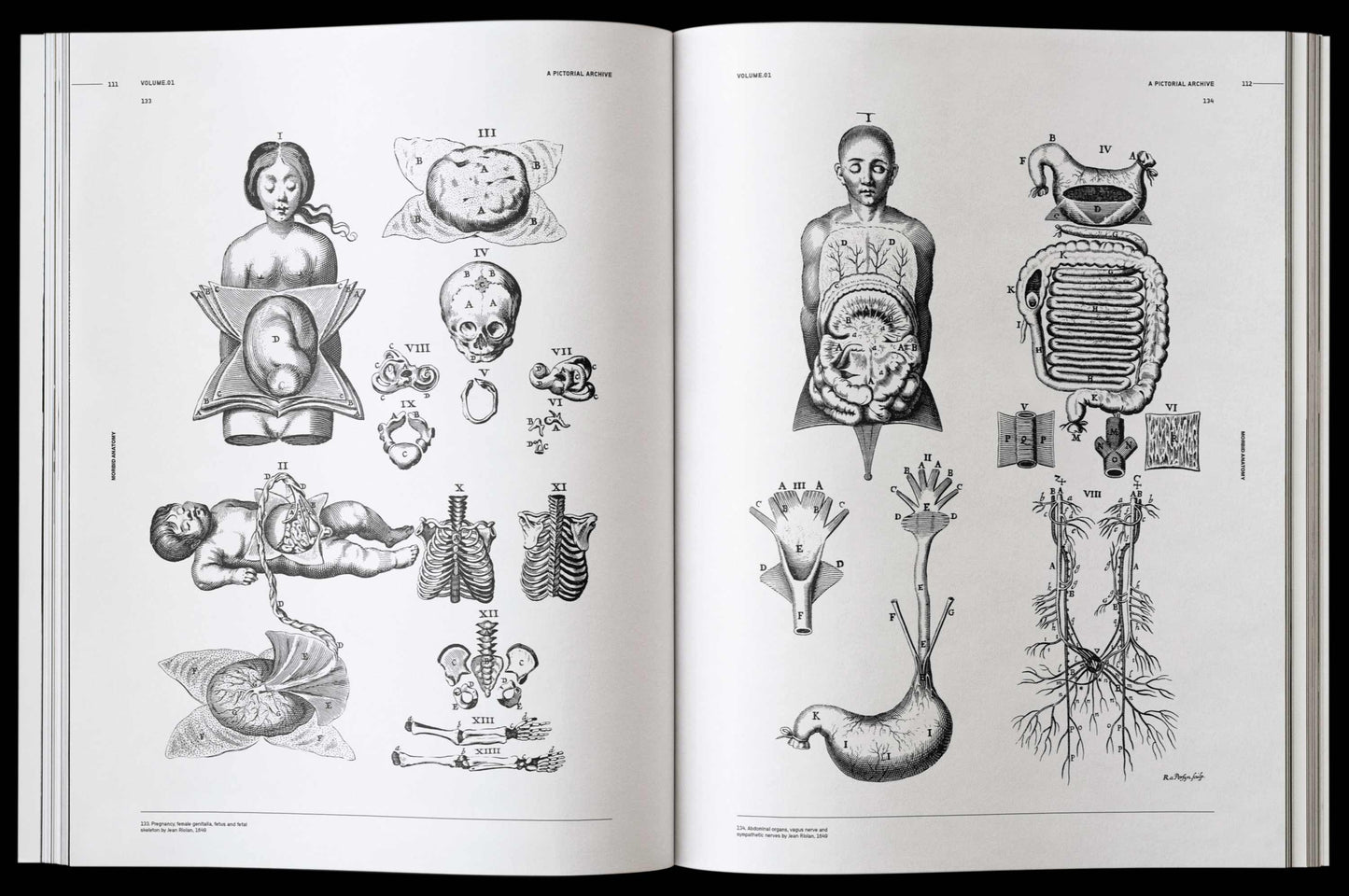 Morbid Anatomy, an Image Archive for Artists and Designers