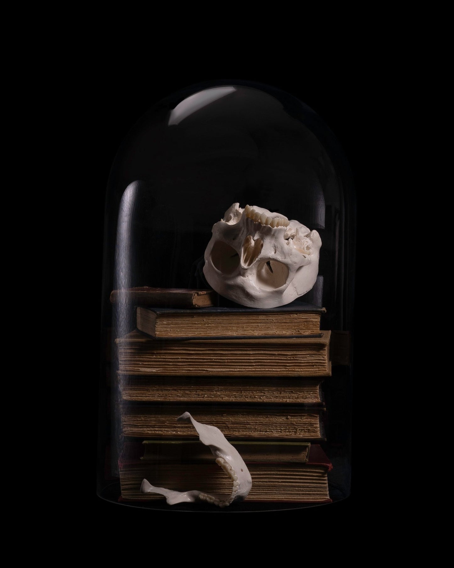 { Enlightenment } Veneration of Light Limited Print - Loved To Death