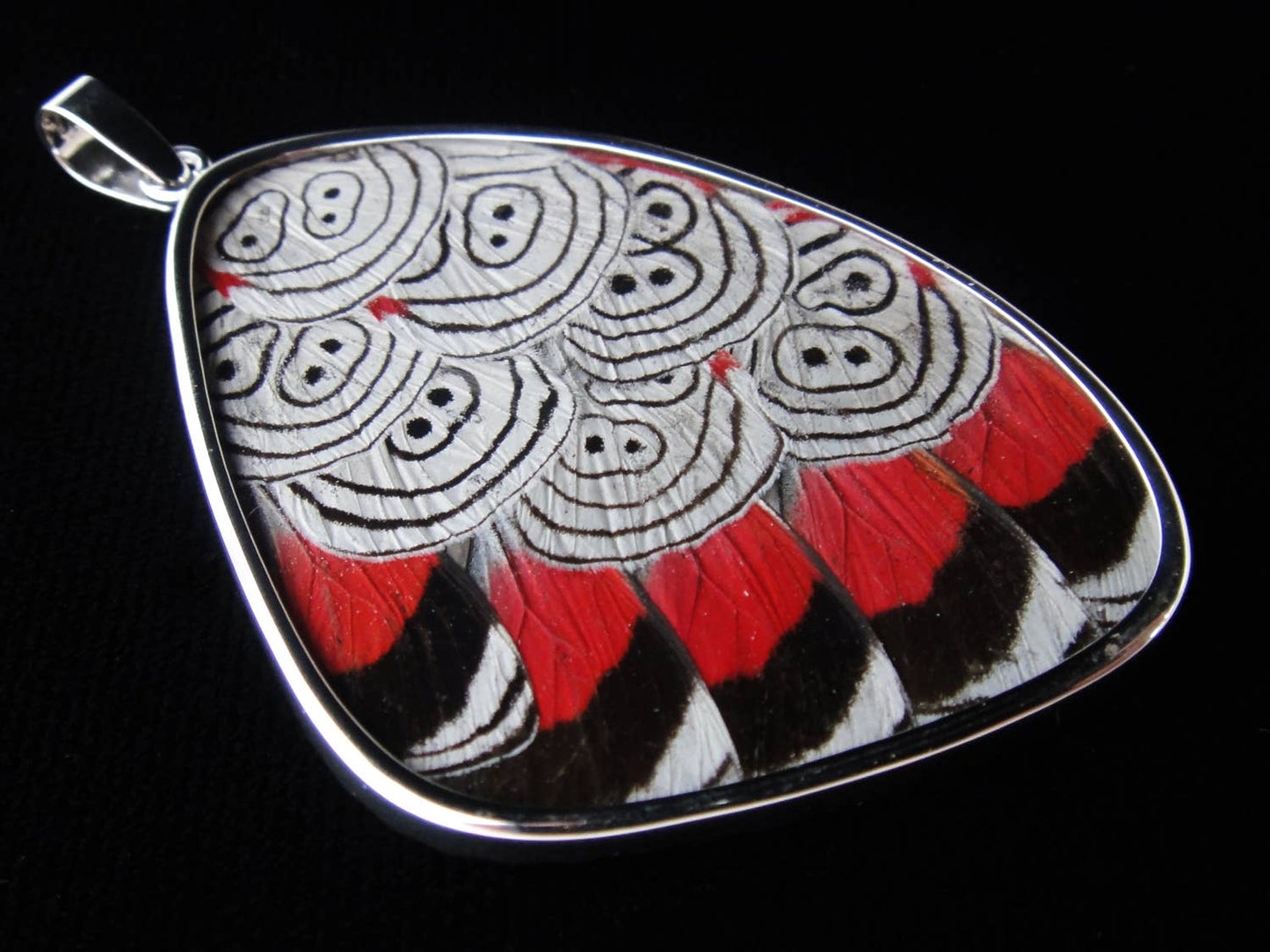 Shimmerwings "88" XX-Large Butterfly Pendant