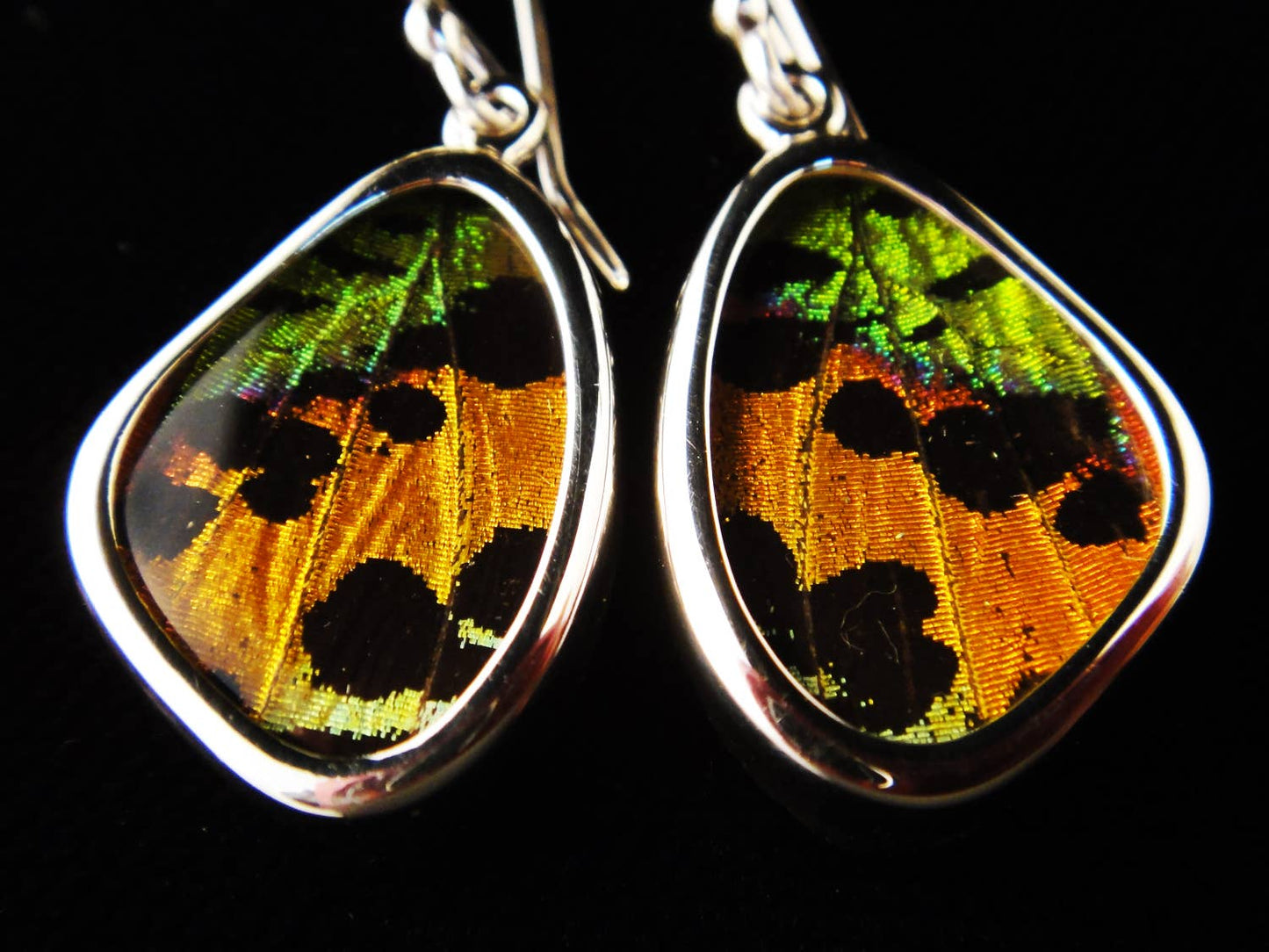 Sunset Moth Small Butterfly Earrings