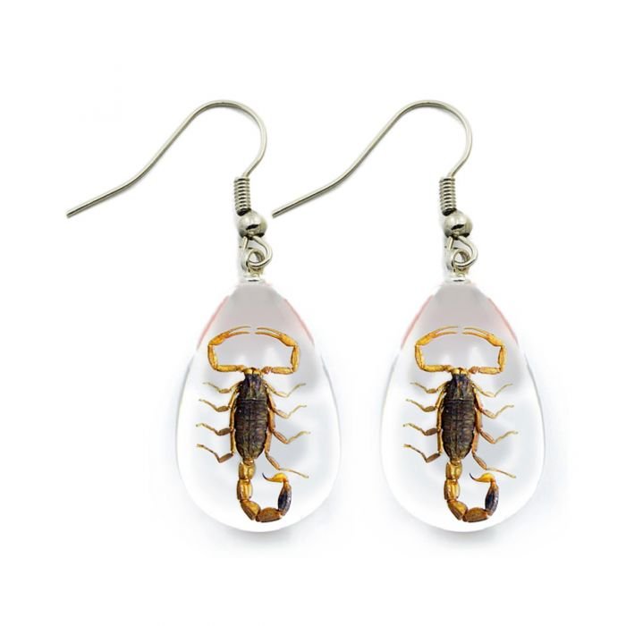 Golden Scorpion Lucite Earrings - Loved To Death