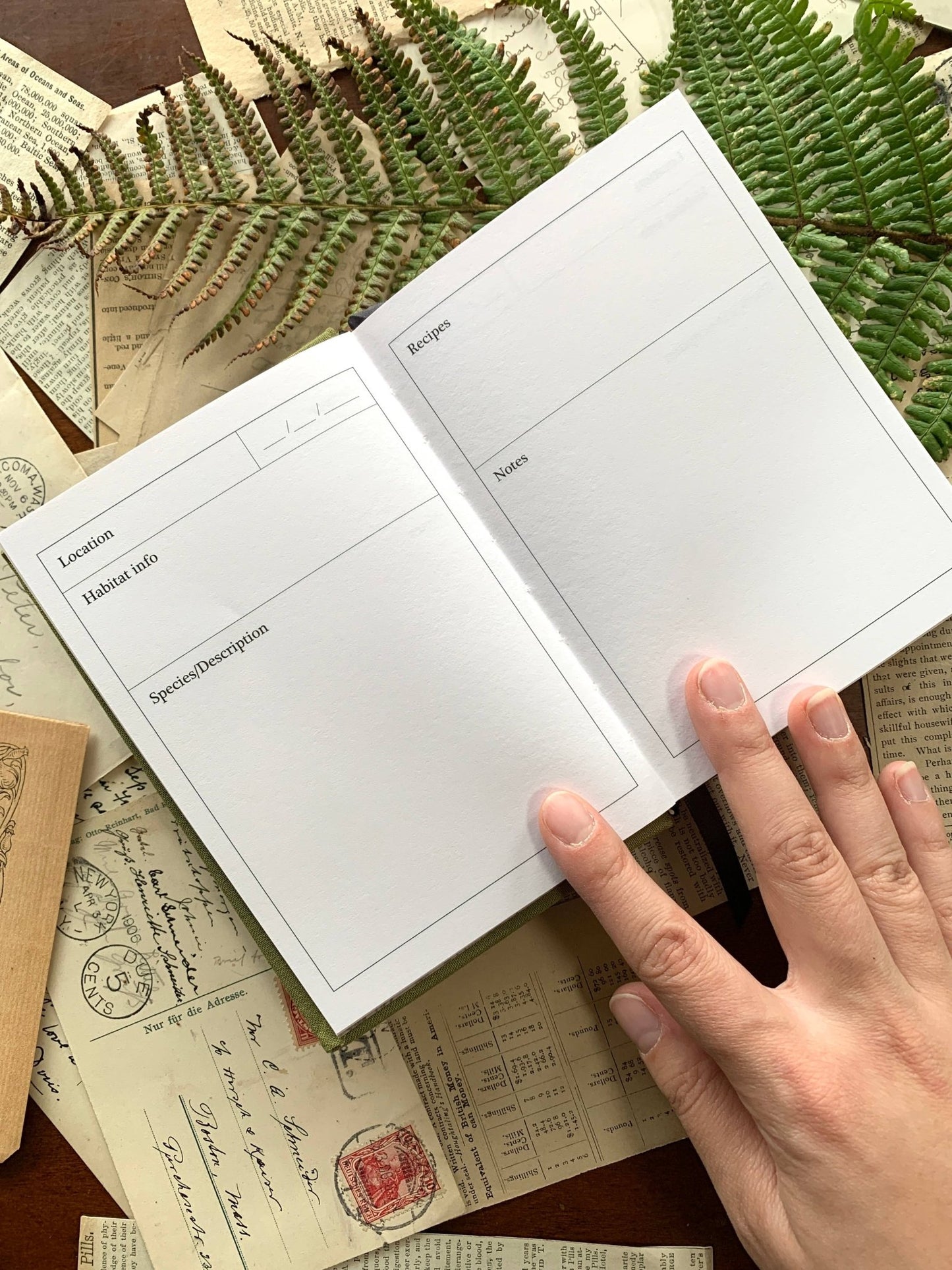 GREEN Foraging A6 field journal, 120gsm white paper - Loved To Death