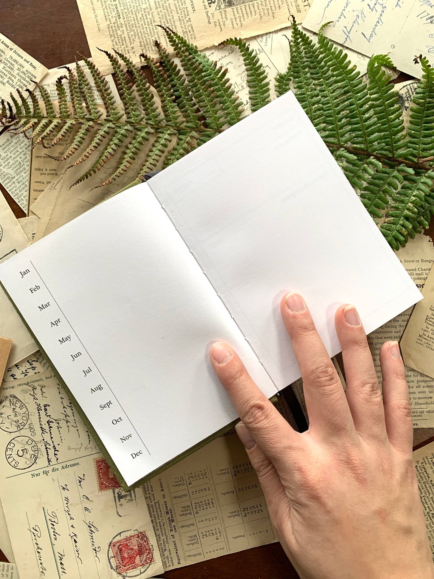 GREEN Foraging A6 field journal, 120gsm white paper - Loved To Death