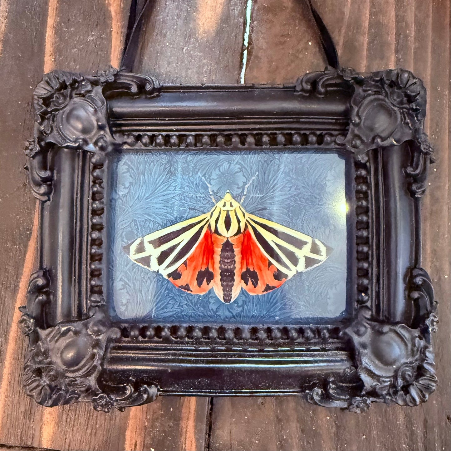 Harnessed moth { Tiffany Dow } Black Framed Giclee Print - Loved To Death