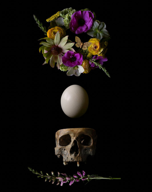 { Midsommar } Veneration of Light Limited Print - Loved To Death