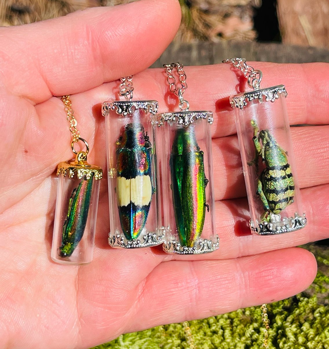 Natural History Specimen Vial Necklaces - Loved To Death