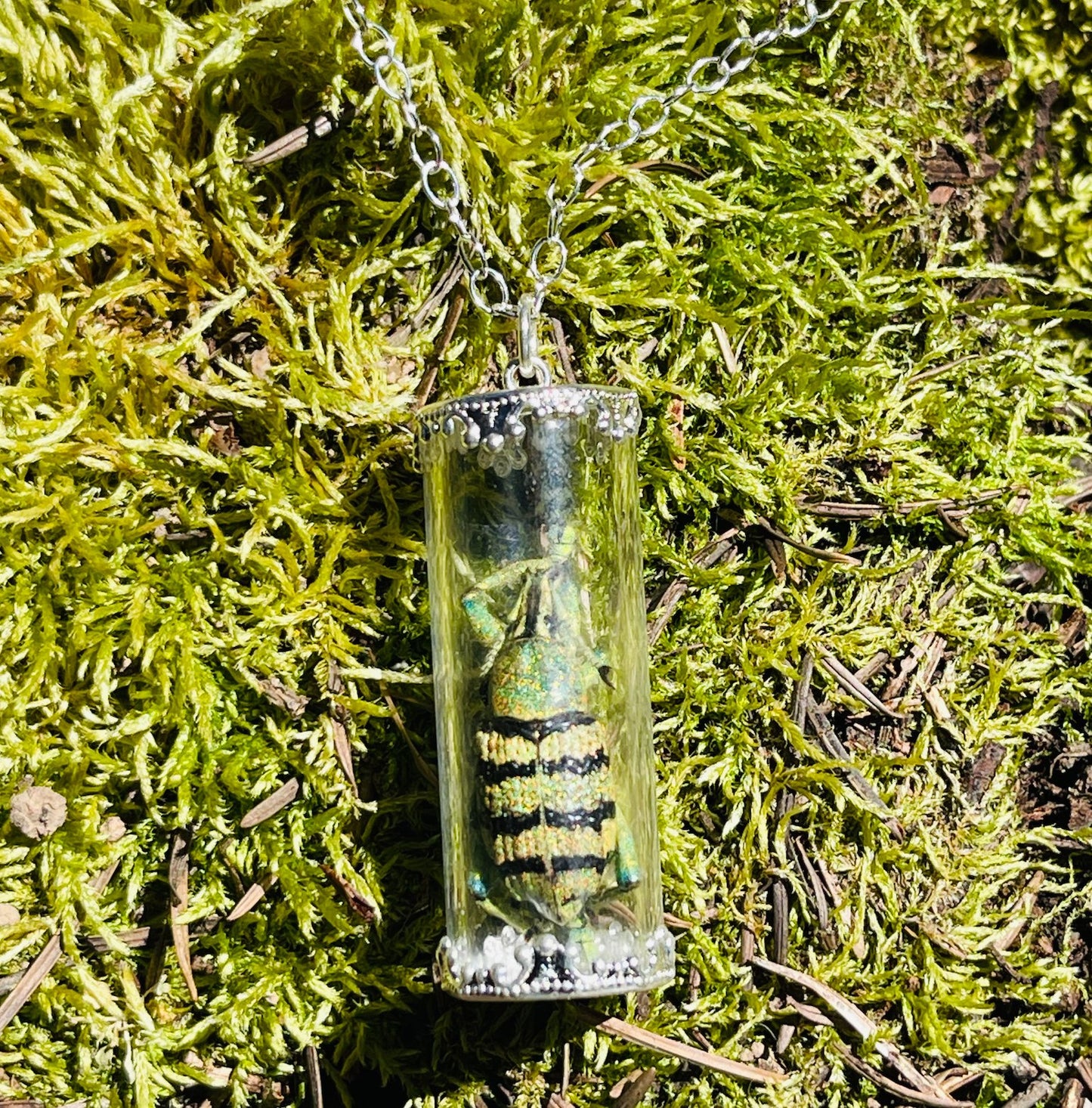 Natural History Specimen Vial Necklaces - Loved To Death