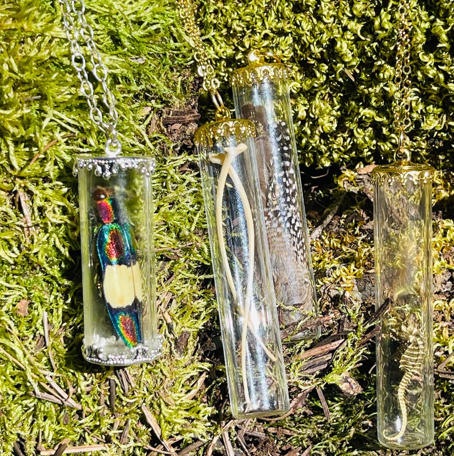 Natural History Specimen Vial Necklaces - Loved To Death