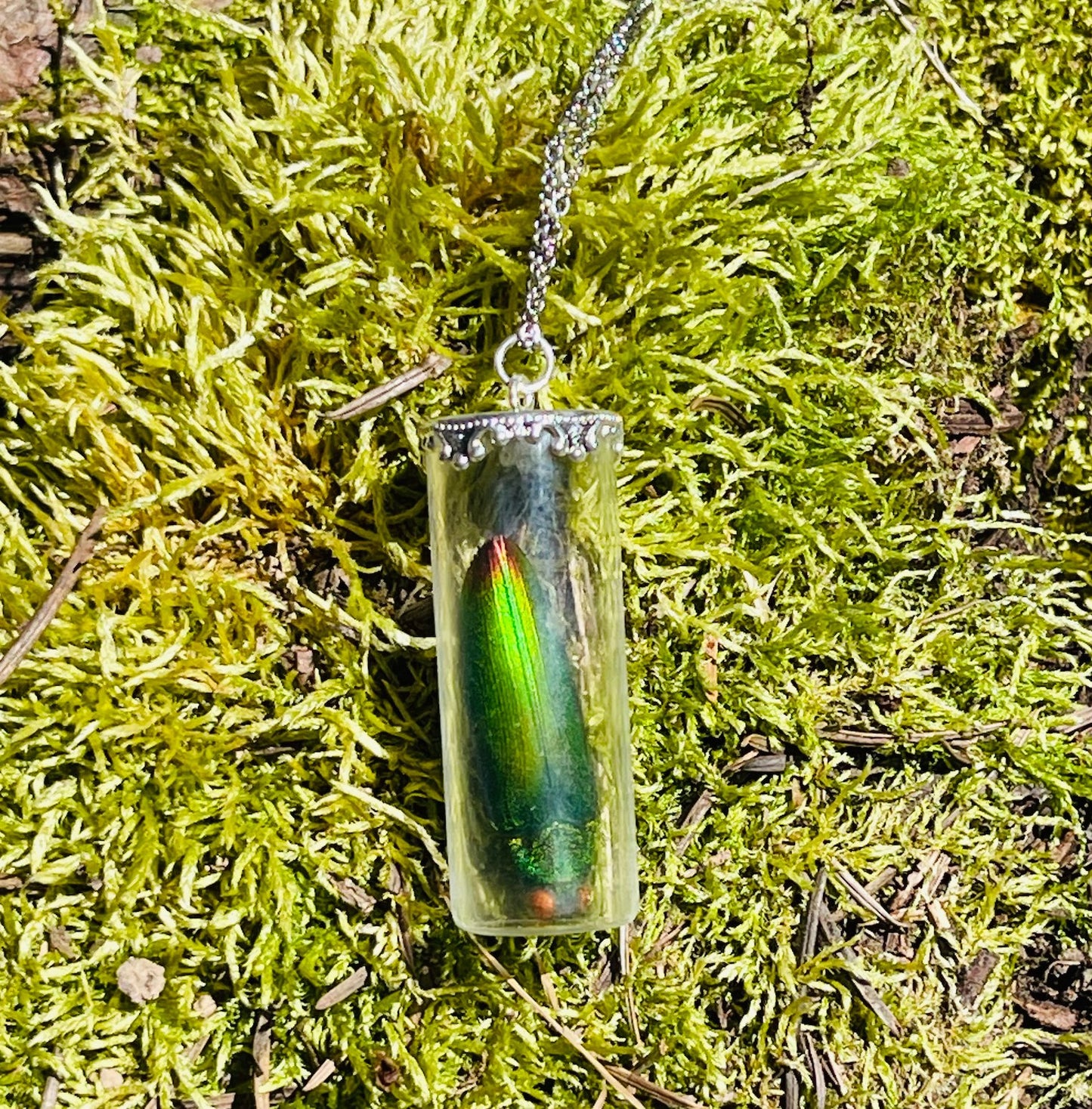 Natural History Specimen Vial Necklaces - Loved To Death