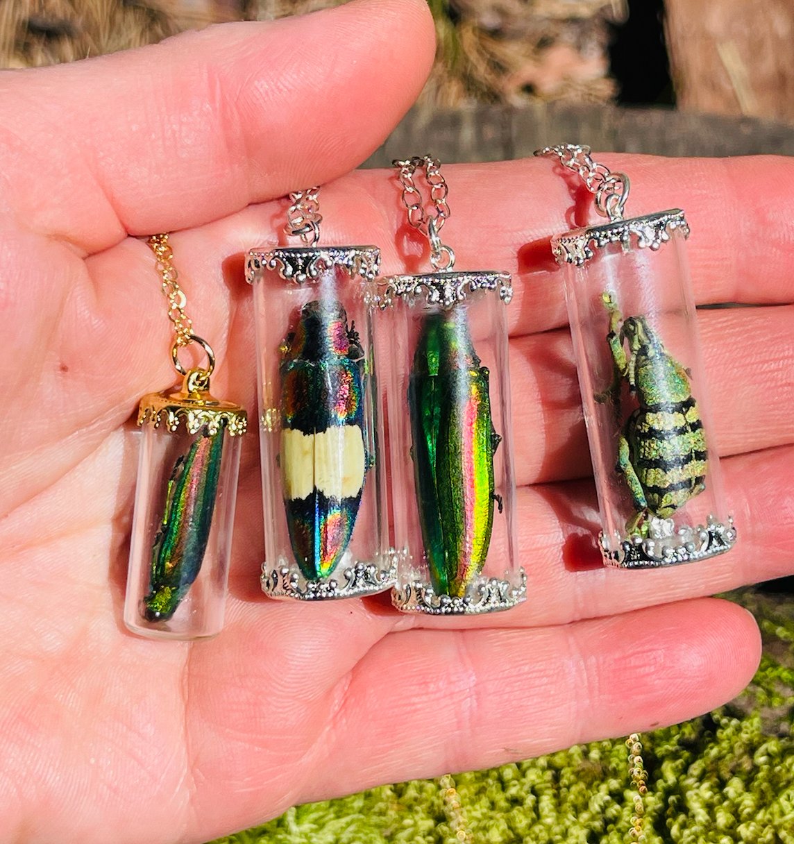 Natural History Specimen Vial Necklaces - Loved To Death