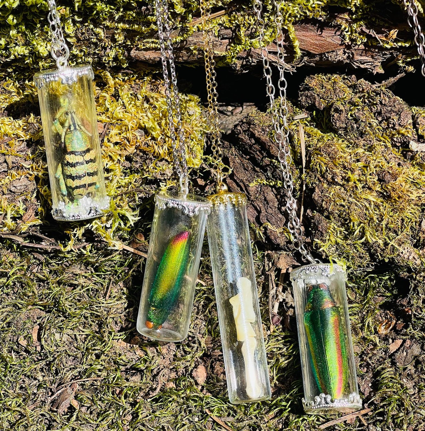 Natural History Specimen Vial Necklaces - Loved To Death