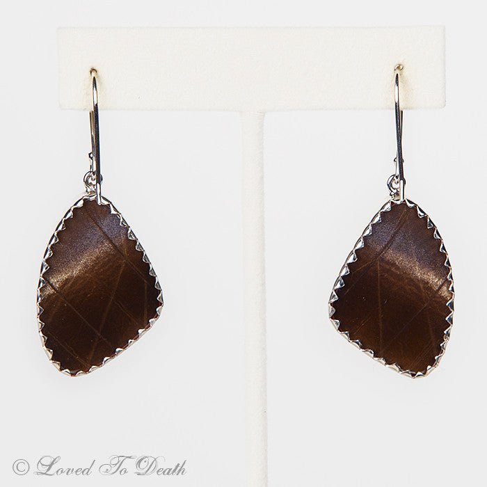 Owl Moth Wing Sterling Earrings - Loved To Death