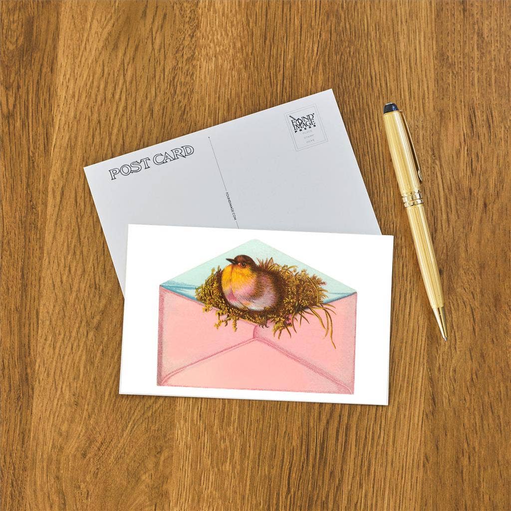 Postcard Bird and Nest in Envelope LT - 326 - Loved To Death